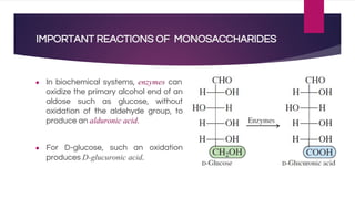 IMPORTANT REACTIONS OF MONOSACCHARIDES
● In biochemical systems, enzymes can
oxidize the primary alcohol end of an
aldose such as glucose, without
oxidation of the aldehyde group, to
produce an alduronic acid.
● For D-glucose, such an oxidation
produces D-glucuronic acid.
 