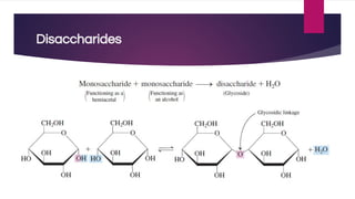 Disaccharides
 