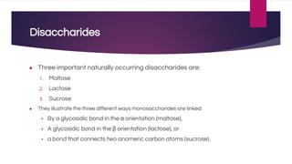 Disaccharides
● Three important naturally occurring disaccharides are:
1. Maltose
2. Lactose
3. Sucrose
● They illustrate the three different ways monosaccharides are linked:
▪ By a glycosidic bond in the α orientation (maltose),
▪ A glycosidic bond in the β orientation (lactose), or
▪ a bond that connects two anomeric carbon atoms (sucrose).
 