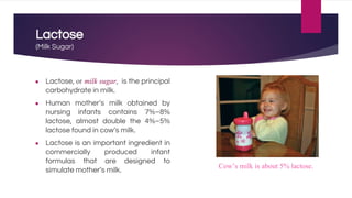 Lactose
(Milk Sugar)
● Lactose, or milk sugar, is the principal
carbohydrate in milk.
● Human mother’s milk obtained by
nursing infants contains 7%–8%
lactose, almost double the 4%–5%
lactose found in cow’s milk.
● Lactose is an important ingredient in
commercially produced infant
formulas that are designed to
simulate mother’s milk.
Cow’s milk is about 5% lactose.
 