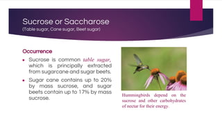 Sucrose or Saccharose
(Table sugar, Cane sugar, Beet sugar)
Occurrence
● Sucrose is common table sugar,
which is principally extracted
from sugarcane and sugar beets.
● Sugar cane contains up to 20%
by mass sucrose, and sugar
beets contain up to 17% by mass
sucrose.
Hummingbirds depend on the
sucrose and other carbohydrates
of nectar for their energy.
 