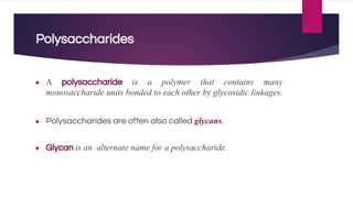 Polysaccharides
● A polysaccharide is a polymer that contains many
monosaccharide units bonded to each other by glycosidic linkages.
● Polysaccharides are often also called glycans.
● Glycan is an alternate name for a polysaccharide.
 