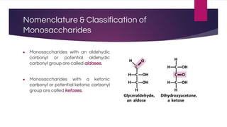 Nomenclature & Classification of
Monosaccharides
● Monosaccharides with an aldehydic
carbonyl or potential aldehydic
carbonyl group are called aldoses.
● Monosaccharides with a ketonic
carbonyl or potential ketonic carbonyl
group are called ketoses.
 