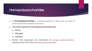Homopolysaccharides
● A homopolysaccharide is a polysaccharide in which only one type of
monosaccharide monomer is present.
● The most important Homopolysaccharides are:
❖ Starch
❖ Glycogen
❖ Cellulose
● Starch and glycogen are examples of storage polysaccharides,
cellulose and chitin are structural polysaccharides.
 