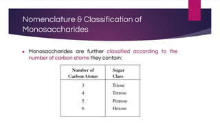 Nomenclature & Classification of
Monosaccharides
● Monosaccharides are further classified according to the
number of carbon atoms they contain:
 