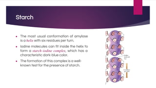 Starch
● The most usual conformation of amylose
is a helix with six residues per turn.
● Iodine molecules can fit inside the helix to
form a starch–iodine complex, which has a
characteristic dark-blue color.
● The formation of this complex is a well-
known test for the presence of starch.
 