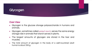 Glycogen
Over-View
● Glycogen is the glucose storage polysaccharide in humans and
animals.
● Glycogen, sometimes called animal starch, serves the same energy
storage role in animals that starch serves in plants.
● The largest amounts of glycogen are stored in the liver and
muscles.
● The total amount of glycogen in the body of a well-nourished adult
human is about 350 g.
 