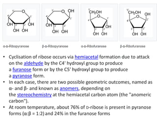 Carbohydrate-2020.pdf
