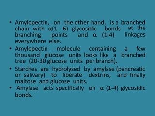 • Amylopectin, on the other hand, is a branched
chain with α(1 -6) glycosidic bonds
branching points and α (1-4)
at the
linkages
everywhere else.
• Amylopectin molecule containing a few
thousand glucose units looks like a branched
tree (20-30 glucose units per branch).
• Starches are hydrolysed by amylase (pancreatic
or salivary) to liberate dextrins, and finally
maltose and glucose units.
• Amylase acts specifically on α (1-4) glycosidic
bonds.
 