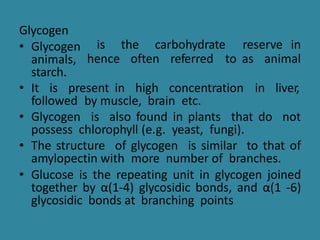 is the carbohydrate reserve in
hence often referred to as animal
Glycogen
• Glycogen
animals,
starch.
• It is present in high concentration in liver,
followed by muscle, brain etc.
• Glycogen is also found in plants that do not
possess chlorophyll (e.g. yeast, fungi).
• The structure of glycogen is similar to that of
amylopectin with more number of branches.
• Glucose is the repeating unit in glycogen joined
together by α(1-4) glycosidic bonds, and α(1 -6)
glycosidic bonds at branching points
 