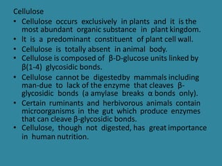 Cellulose
• Cellulose occurs exclusively in plants and it is the
most abundant organic substance in plant kingdom.
• lt is a predominant constituent of plant cell wall.
• Cellulose is totally absent in animal body.
• Cellulose is composed of β-D-glucose units linked by
β(1-4) glycosidic bonds.
• Cellulose cannot be digestedby mammals including
man-due to lack of the enzyme that cleaves β-
glycosidic bonds (a amylase breaks α bonds only).
• Certain ruminants and herbivorous animals contain
microorganisms in the gut which produce enzymes
that can cleave β-glycosidic bonds.
• Cellulose, though not digested, has great importance
in human nutrition.
 