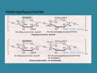 Heteropolysaccharide
 