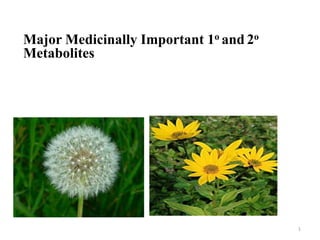 Major Medicinally Important 1o and 2o
Metabolites
1
 