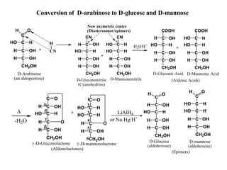C
O
H
C
C
HO H
C
CH2OH
H OH
H OH
+ CN
H
D-Arabinose
(an aldopentose)
C
CN
C
C
HO H
C
CH2OH
H OH
H OH
OH
H * C
CN
C
C
HO H
C
CH2OH
H OH
H OH
H
HO
*
New asymetric center
(Diastereomer/epimers)
+
D-Glucononitrile
(Cyanohydrins)
D-Mannononitrile
C
COOH
C
C
HO H
C
CH2OH
H OH
H OH
OH
H C
COOH
C
C
HO H
C
CH2OH
H OH
H OH
H
HO
+
D-Gluconic Acid D-Mannonic Acid
(Aldonic Acids)
C
C
C
C
HO H
C
CH2OH
H OH
H OH
OH
H
O
H
C
C
C
C
HO H
C
CH2OH
H OH
H OH
H
HO
O
H
D-Glucose
(aldohexose)
D-mannose
(aldohexose)
(Epimers)
H20/H+

-H2O
C
C
C
C
HO H
C
CH2OH
H O
H OH
OH
H
+
O
a
b

C
C
C
C
HO H
C
CH2OH
H O
H OH
H
HO
O
1
2
3
4
5
6
-D-Gluconolactone -D-mannonolactone
 
(Aldonolactones)
LiAlH4
or Na-Hg/H+
Conversion of D-arabinose to D-glucose and D-mannose
d
 