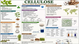 Pharmacognosy of crude drugs in carbohydrates