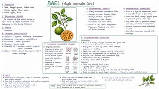 Pharmacognosy of crude drugs in carbohydrates
