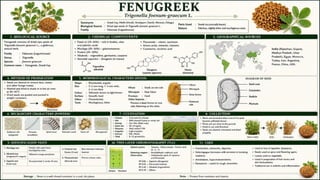 Pharmacognosy of crude drugs in carbohydrates