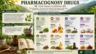 Pharmacognosy of crude drugs in carbohydrates