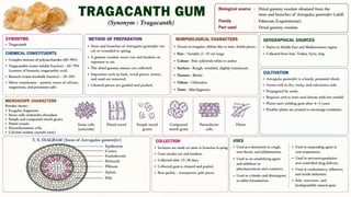 Pharmacognosy of crude drugs in carbohydrates