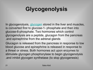 Curated visual reference: Gallery Detail: Carbohydrate Metabolism 1Sjdbfbdkdkd Ppt
