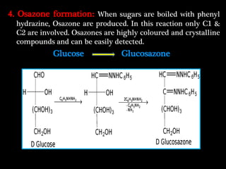 Carbohydrate property, classification and function | PPTX