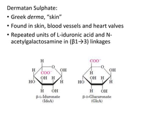 Dermatan Sulphate:
• Greek derma, “skin”
• Found in skin, blood vessels and heart valves
• Repeated units of L-iduronic acid and N-
acetylgalactosamine in (β1→3) linkages
 