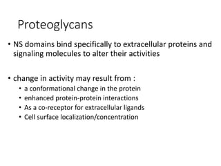 Proteoglycans
• NS domains bind specifically to extracellular proteins and
signaling molecules to alter their activities
• change in activity may result from :
• a conformational change in the protein
• enhanced protein-protein interactions
• As a co-receptor for extracellular ligands
• Cell surface localization/concentration
 