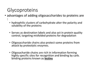 Glycoproteins
• advantages of adding oligosaccharides to proteins are
:
• hydrophilic clusters of carbohydrate alter the polarity and
solubility of the proteins
• Serves as destination labels and also act in protein quality
control, targeting misfolded proteins for degradation
• Oligosaccharide chains also protect some proteins from
attack by proteolytic enzymes.
• Oligosacharide chains are rich in information forming
highly specific sites for recognition and binding by carb.
binding proteins known as lectins
 