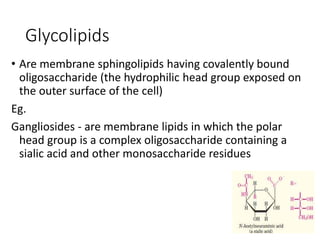 Glycolipids
• Are membrane sphingolipids having covalently bound
oligosaccharide (the hydrophilic head group exposed on
the outer surface of the cell)
Eg.
Gangliosides - are membrane lipids in which the polar
head group is a complex oligosaccharide containing a
sialic acid and other monosaccharide residues
 