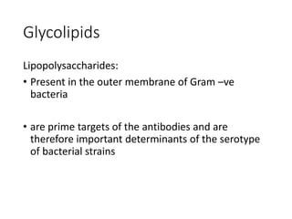 Glycolipids
Lipopolysaccharides:
• Present in the outer membrane of Gram –ve
bacteria
• are prime targets of the antibodies and are
therefore important determinants of the serotype
of bacterial strains
 
