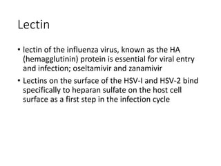 Lectin
• lectin of the influenza virus, known as the HA
(hemagglutinin) protein is essential for viral entry
and infection; oseltamivir and zanamivir
• Lectins on the surface of the HSV-I and HSV-2 bind
specifically to heparan sulfate on the host cell
surface as a first step in the infection cycle
 