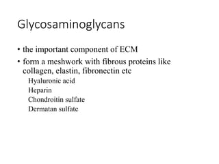 Glycosaminoglycans
• the important component of ECM
• form a meshwork with fibrous proteins like
collagen, elastin, fibronectin etc
Hyaluronic acid
Heparin
Chondroitin sulfate
Dermatan sulfate
 