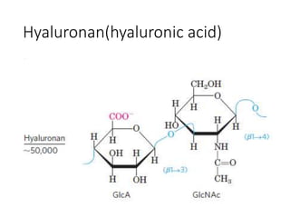 Hyaluronan(hyaluronic acid)
 
