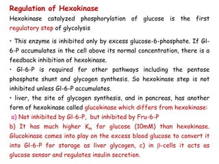 Regulation of Hexokinase
Hexokinase catalyzed phosphorylation of glucose is the first
regulatory step of glycolysis
• This enzyme is inhibited only by excess glucose-6-phosphate. If Gl-
6-P accumulates in the cell above its normal concentration, there is a
feedback inhibition of hexokinase.
• Gl-6-P is required for other pathways including the pentose
phosphate shunt and glycogen synthesis. So hexokinase step is not
inhibited unless Gl-6-P accumulates.
• liver, the site of glycogen synthesis, and in pancreas, has another
form of hexokinase called glucokinase which differs from hexokinase:
a) Not inhibited by Gl-6-P, but inhibited by Fru-6-P
b) It has much higher Km for glucose (10mM) than hexokinase.
Glucokinase comes into play on the excess blood glucose to convert it
into Gl-6-P for storage as liver glycogen, c) in -cells it acts as
glucose sensor and regulates insulin secretion.
 