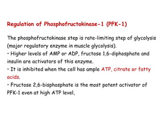 Regulation of Phosphofructokinase-1 (PFK-1)
The phosphofructokinase step is rate-limiting step of glycolysis
(major regulatory enzyme in muscle glycolysis).
• Higher levels of AMP or ADP, fructose 1,6-diphosphate and
insulin are activators of this enzyme.
• It is inhibited when the cell has ample ATP, citrate or fatty
acids.
• Fructose 2,6-bisphosphate is the most potent activator of
PFK-1 even at high ATP level,
 