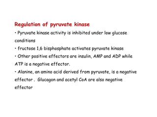 Regulation of pyruvate kinase
• Pyruvate kinase activity is inhibited under low glucose
conditions
• fructose 1,6 bisphosphate activates pyruvate kinase
• Other positive effectors are insulin, AMP and ADP while
ATP is a negative effector.
• Alanine, an amino acid derived from pyruvate, is a negative
effector . Glucagon and acetyl CoA are also negative
effector
 