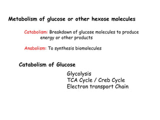 Metabolism of glucose or other hexose molecules
Catabolism: Breakdown of glucose molecules to produce
energy or other products
Anabolism: To synthesis biomolecules
Catabolism of Glucose
Glycolysis
TCA Cycle / Creb Cycle
Electron transport Chain
 