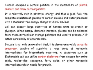Glucose occupies a central position in the metabolism of plants,
animals, and many microorganisms.
It is relatively rich in potential energy, and thus a good fuel; the
complete oxidation of glucose to carbon dioxide and water proceeds
with a standard free-energy change of 2,840 kJ/mol.
Cell can deposit large quantities of hexose units as starch or
glycogen. When energy demands increase, glucose can be released
from these intracellular storage polymers and used to produce ATP
either aerobically or anaerobically.
Glucose is not only an excellent fuel, it is also a remarkably versatile
precursor, capable of supplying a huge array of metabolic
intermediates for biosynthetic reactions. A bacterium such as
Escherichia coli can utilize carbon skeletons from glucose for amino
acids, nucleotides, coenzyme, fatty acids, or other metabolic
intermediates which needs for growth.
 