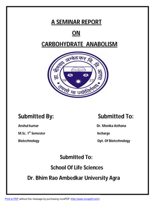 A SEMINAR REPORT
ON
CARBOHYDRATE ANABOLISM
Submitted By: Submitted To:
Anshul kumar Dr. Monika Asthana
M.Sc. 1st
Semester Incharge
Biotechnology Dpt. Of Biotechnology
Submitted To:
School Of Life Sciences
Dr. Bhim Rao Ambedkar University Agra
Print to PDF without this message by purchasing novaPDF (http://www.novapdf.com/)
 
