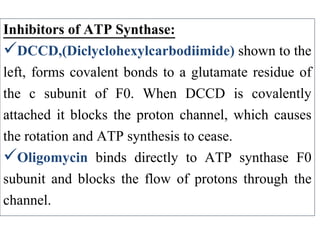 Carbohydrates and carbohdrates metabolism Rajesh Kumar Kushwaha | PDF