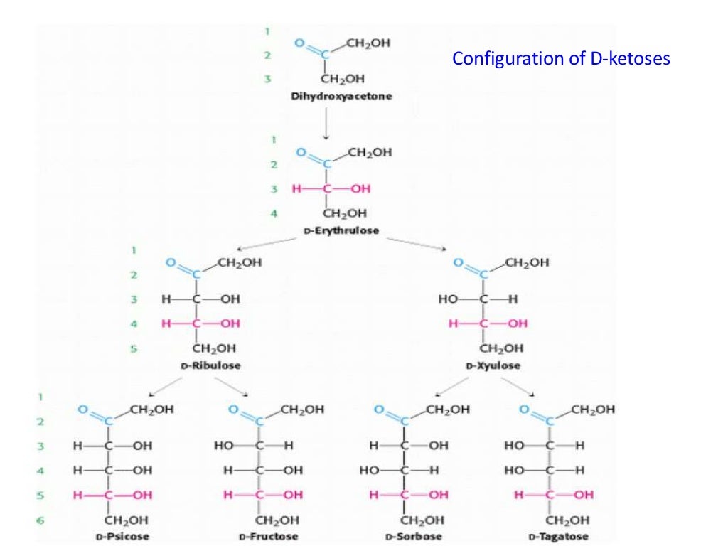 CARBOHYDRATE CHEMISTRY