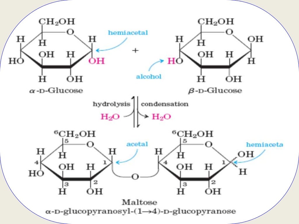 CARBOHYDRATE CHEMISTRY