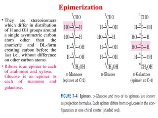 Epimerization Examples carbohydrate chenmistry-1 MBcHB 1.2.pptx