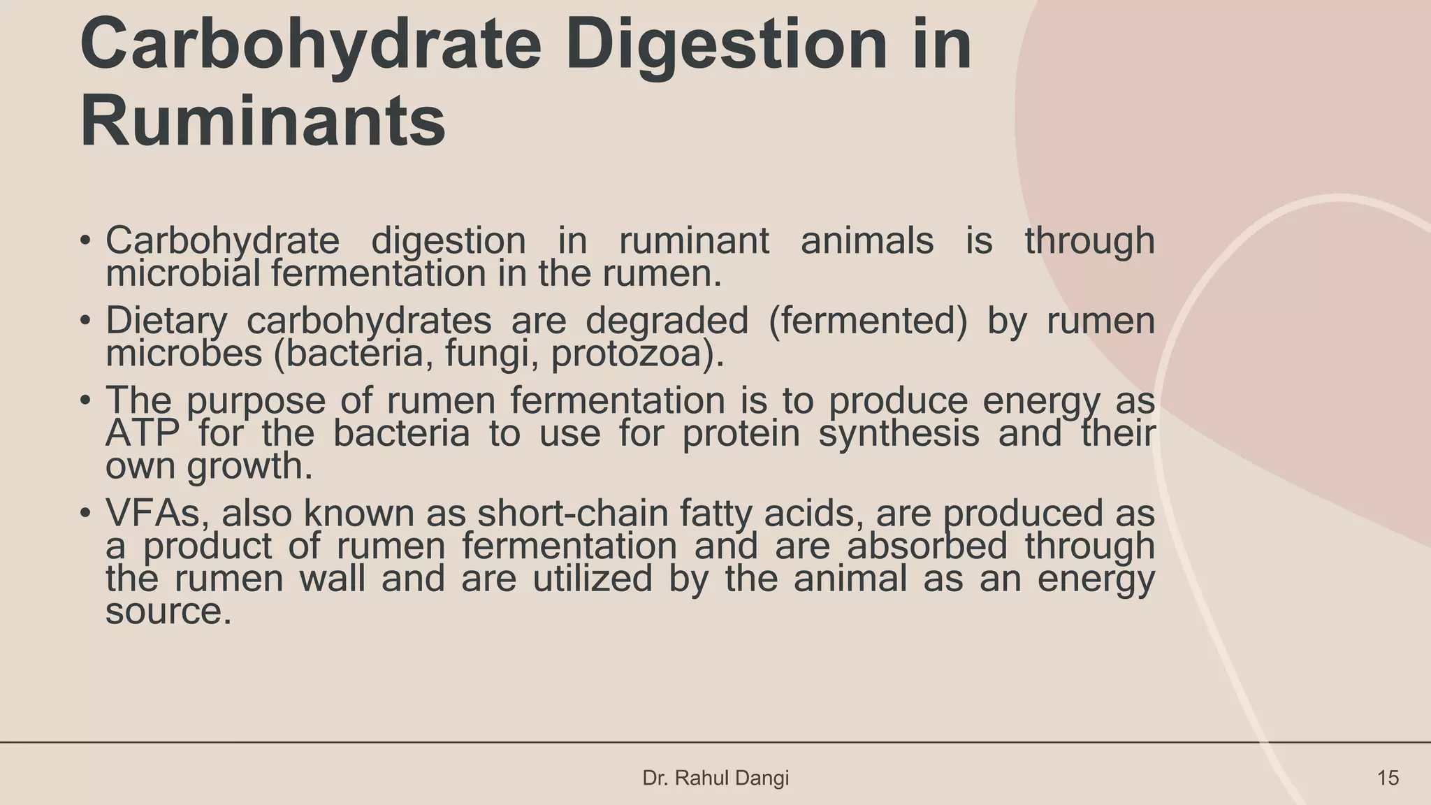 Carbohydrate digestion and metabolism in Ruminants Carbohydrate ...