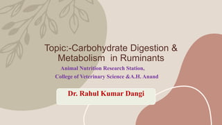 Topic:-Carbohydrate Digestion &
Metabolism in Ruminants
Animal Nutrition Research Station,
College of Veterinary Science &A.H. Anand
Dr. Rahul Kumar Dangi
 