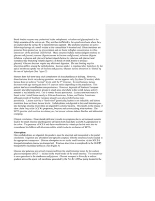 Brush border enzymes are synthesized in the endoplasmic reticulum and glycosylated in the
Golgi apparatus of the enterocyte. They are then trafficked to the apical membrane where they
are anchored at the surface by a transmembrane segment. The anchored enzymes are active
following cleavage of a small residue at the extracellular N-terminal end. Disaccharidases are
protected from proteolysis by glycosylation and are found in higher concentration in villus
enterocytes of the proximal small bowel. These enzymes include maltase (digests maltose to
glucose and glucose), sucrase (digests sucrose to fructose and glucose), trehalase (digests
trehalose to glucose and glucose), lactase (digests lactose to galactose and glucose) and
isomaltase (de-branching enzyme digests α1,6 bonds of limit dextrin to produce
glucose). Glucose does not require any additional digestion. The rate limiting step for
absorption differs among the carbohydrates. Sucrose uptake is regulated after hydrolysis by the
apical membrane uptake rate of fructose and glucose, whereas lactose absorption is limited by
the rate of hydrolysis.(See Figure 2)
Humans born full-term have a full complement of disaccharidases at delivery. However,
disaccharidase levels vary during gestation: sucrase appears early (by about 20 weeks), while
lactase does not achieve “normal” levels until the 3rd
trimester. In most humans, lactase
decreases with age starting at about 3-5 years or earlier depending on the population. This
pattern has been termed lactase non-persistence. However, in people of Northern European
ancestry and other population groups in small areas elsewhere in the world, lactase activity
remains at the infantile level. This is termed lactase persistence. Lactase non-persistence is
found in the United States mainly in African-Americans, Asians, and Native Americans,
although people of Southern European ancestry can also exhibit lactase non-
persistence. Lactase activity is “hard wired” genetically; lactase is not inducible, and lactose
restriction does not lower lactase levels. Carbohydrates not digested in the small intestine pass
into the large intestine where they are digested by colonic bacteria. This results in the release of
short chain fatty acids (SCFA) (propionate, butyrate and acetate) along with methane. The
SCFA provide vital nutrition to colonocytes, but excess volumes induce diarrhea and abdominal
cramping.
Clinical correlation - Disaccharide deficiency results in symptoms due to an increased osmotic
load in the small intestine and frequently elevated short chain fatty acid (SCFA) production in
the colon. The presence of SCFA and their contribution to colonocyte health must also be
remembered in children with diversion colitis, which is due to an absence of SCFA.
Absorption:
Once carbohydrates are digested, the products must be absorbed and transported to the portal
circulation. Digestion and absorption are typically coupled, with the enzymes closely located to
the appropriate transporters. Glucose absorption occurs in the small intestine via the SGLT-1
transporter (sodium glucose co-transporter). Fructose absorption is completed via the GLUT5
transporter by facilitated diffusion. (See Figure 3)
Glucose and galactose are actively transported from the small intestine lumen by the sodium
glucose transporter (SGLT-1) located in the brush border of the small intestine. The transporter
is more prevalent in the duodenum and jejunum. Glucose transport is driven by a sodium
gradient across the apical cell membrane generated by the Na+
,K+
-ATPase pump located in the
 