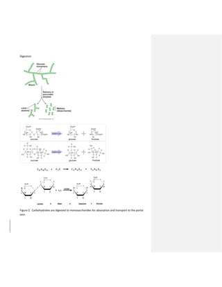 Digestion
Figure 2. Carbohydrates are digested to monosaccharides for absorption and transport to the portal
vein.
 