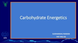 CIFE
Carbohydrate Energetics
SUDHANSHU RAMAN
FNT-PA5-03
 