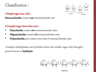 carbohydrate_i.pdf