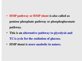 Carbohydrate metabolic pathway hmp,   copy